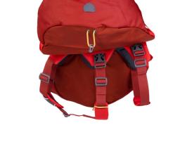 Ruffwear Palisades Pack Hunderucksack Red Sumac 5