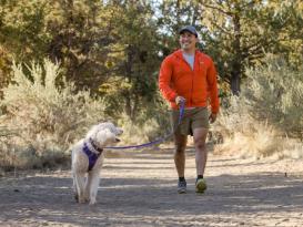 Ruffwear Front Range™ 2.0 Hundehalsband Purple Sage 5