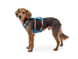 Ruffwear® Flagline™ 2.0 Hundegeschirr Blue Dusk 5