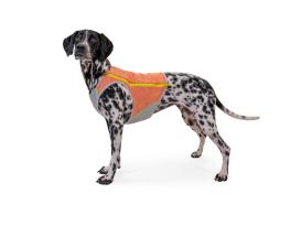 Ruffwear Swamp Cooler Zip Kühlweste für Hunde Salmon Pink 5