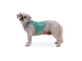 Ruffwear Swamp Cooler Zip Kühlweste für Hunde Aurora Teal 5