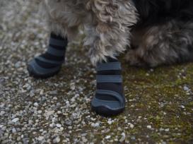 Hundeschuhe Pfotenschutz Active 2-er Set 5