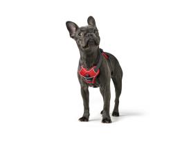 Hunter Hundegeschirr Divo rot/grau 5