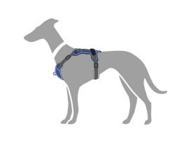 Hunter Hundegeschirr Divo blau/grau 5