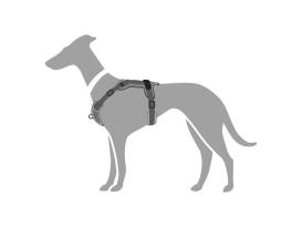 Hunter Hundegeschirr Divo grau 5