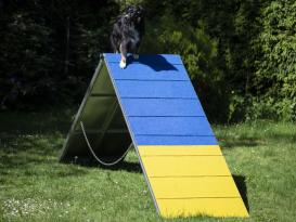 Hunde Profi Agility ALU A-Wand FCI konform 5