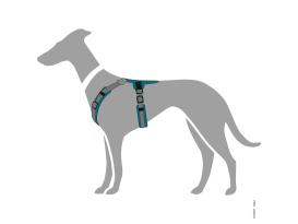 Hunter Hundegeschirr Maldon petrol/grau 5