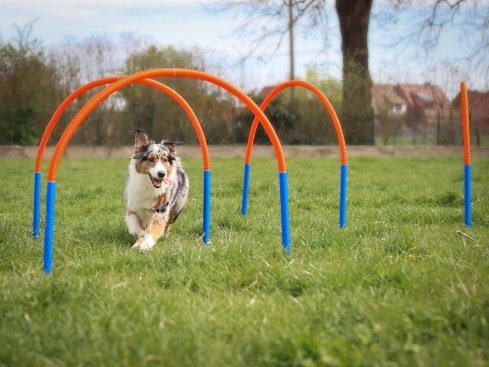 Hoopers Bogen Set aus Kunststoff mit Erdspießen