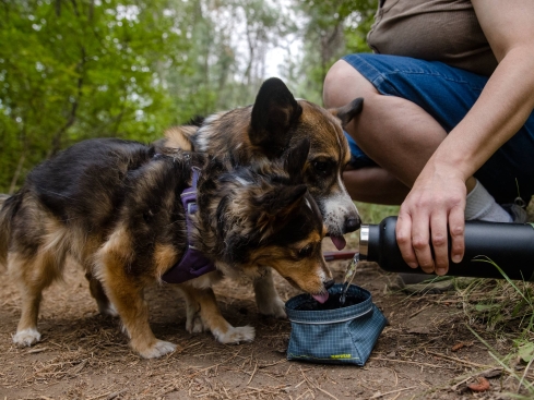 Ruffwear Great Basin™ faltbarer Reise-Hundenapf