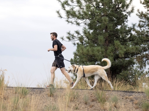 Ruffwear Switchbak™ Hundeleine Basalt Gray