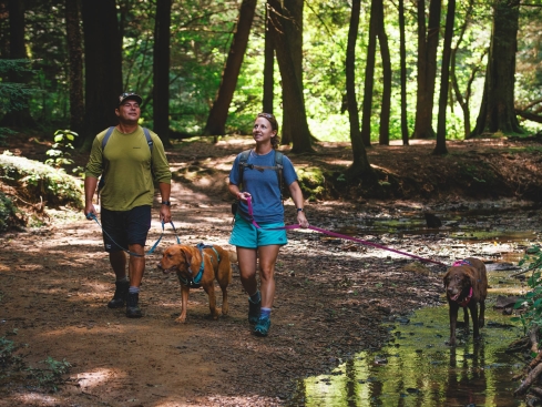 Ruffwear Flagline™ Hundeleine Basalt Gray