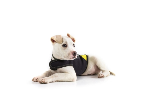 Julius K-9 IDC® Neopren Hundemantel