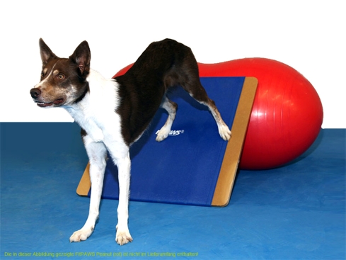 FitPAWS® Giant Rocker Board