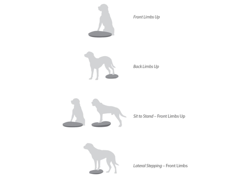 FitPAWS® Balance Disc blau