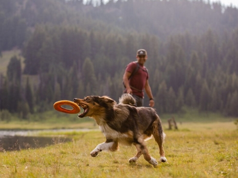 Ruffwear Hydro Plane™ Frisbee