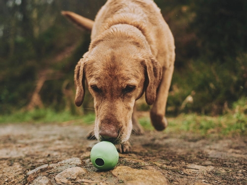 Beco Ball Snackball Medium