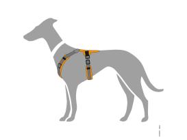 Hunter Hundegeschirr Maldon orange/grau 6