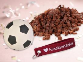 Happy Birthday Geburtstags-Set für Hunde 6