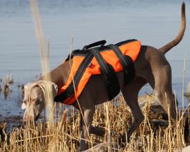 Rukka Pets Schwimmweste für Hunde Safty orange 6