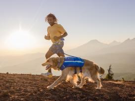 Ruffwear Trail Runner™ Laufgürtel Jogginggurt Blue Pool 6