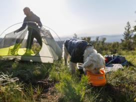 Ruffwear Bivy™ Faltnapf Hundenapf Salamander Orange 6