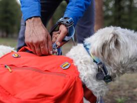 Ruffwear Crag™ reflektierende Hundeleine Alpine Dawn 6