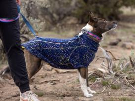 Ruffwear Crag EX™  reflektierende Hundeleine Alpine Dusk 6