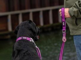 Dog Copenhagen Urban Freestyle V3 Hundeleine Purple Passion 6