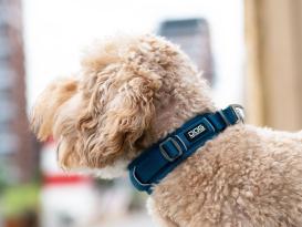 Dog Copenhagen Urban Explorer V3 Halsband Ocean Blue 6