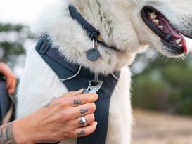 Ruffwear Front Range™ 3.0 Hundeleine Basalt Gray 6