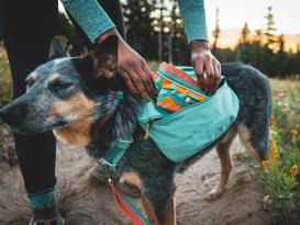 Ruffwear Front Range™ Hunderucksack 2.0 River Rock Green 6