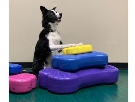 FitPAWS® K9 FITbone™ MINI 2-er Set 6