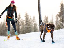 Ruffwear Cloud Chaser™ Winter Softshell Hundemantel Obsidian Black 6