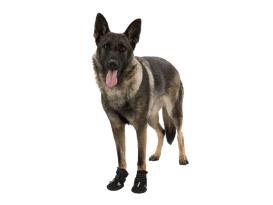 Walker Active Hundeschuhe schwarz 6