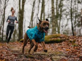 Ruffwear® Climate Changer™ Fleece Jacke glacier 6