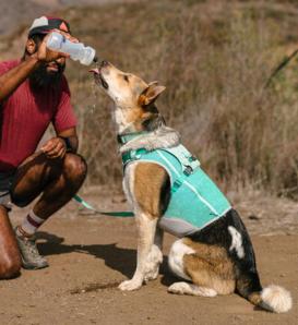 Ruffwear Swamp Cooler Zip Kühlweste für Hunde Aurora Teal 6