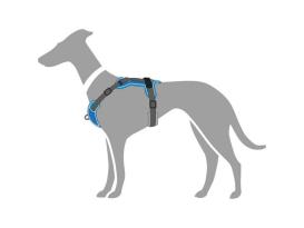 Hunter Hundegeschirr Divo hellblau/grau 6