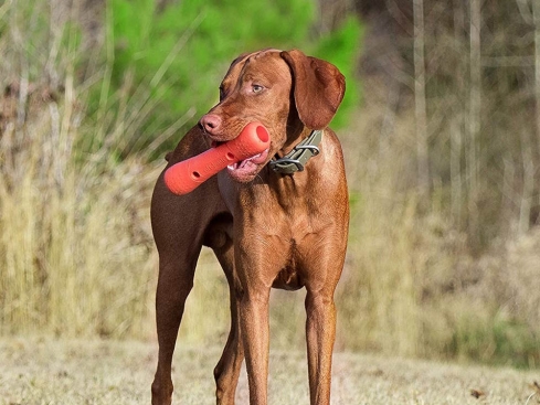 Dexas Off Leash Tumbler Dummy für Hunde