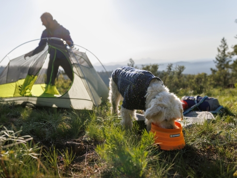 Ruffwear Bivy™ Faltnapf Hundenapf Salamander Orange