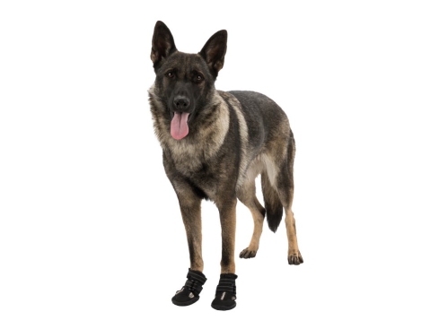 Walker Active Hundeschuhe schwarz