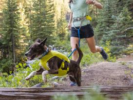 Ruffwear Trail Runner™ dehnbare Hundeleine Blue Pool 7