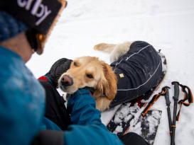 Ruffwear Cloud Chaser™ Winter Softshell Hundemantel Obsidian Black 7