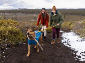 Ruffwear® Climate Changer™ Fleece Hundejacke Blue Jay 7