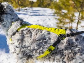 Ruffwear Omnijore™ Hundejöringsystem Lichen Green 7