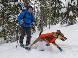 Ruffwear Powder Hound™ Winterjacke für Hunde Persimmon Orange 7