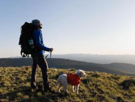 Ruffwear Crag™ reflektierende Hundeleine Alpine Dawn 7