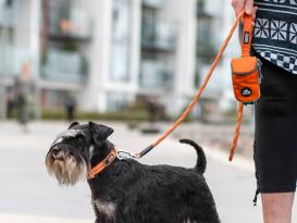 Dog Copenhagen Urban Rope V3 Hundeleine Orange Sun 7