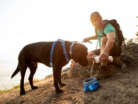 Ruffwear Front Range™ 3.0 Hundegeschirr Coastal Mountains 7