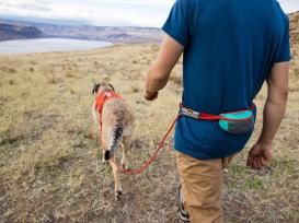 Ruffwear Hitch Hiker Hundeleine Aurora Teal 7