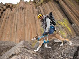 Ruffwear® Flagline™ 2.0 Hundegeschirr Blue Dusk 7